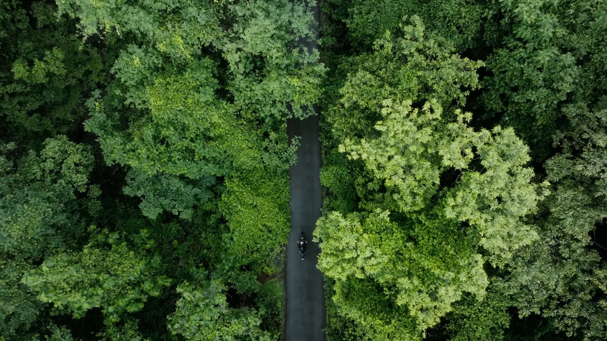 Kevin Patrick Law practice area video thumbnail on motorcycle accidents. Aerial view of a motorcycle on a tree lined road.